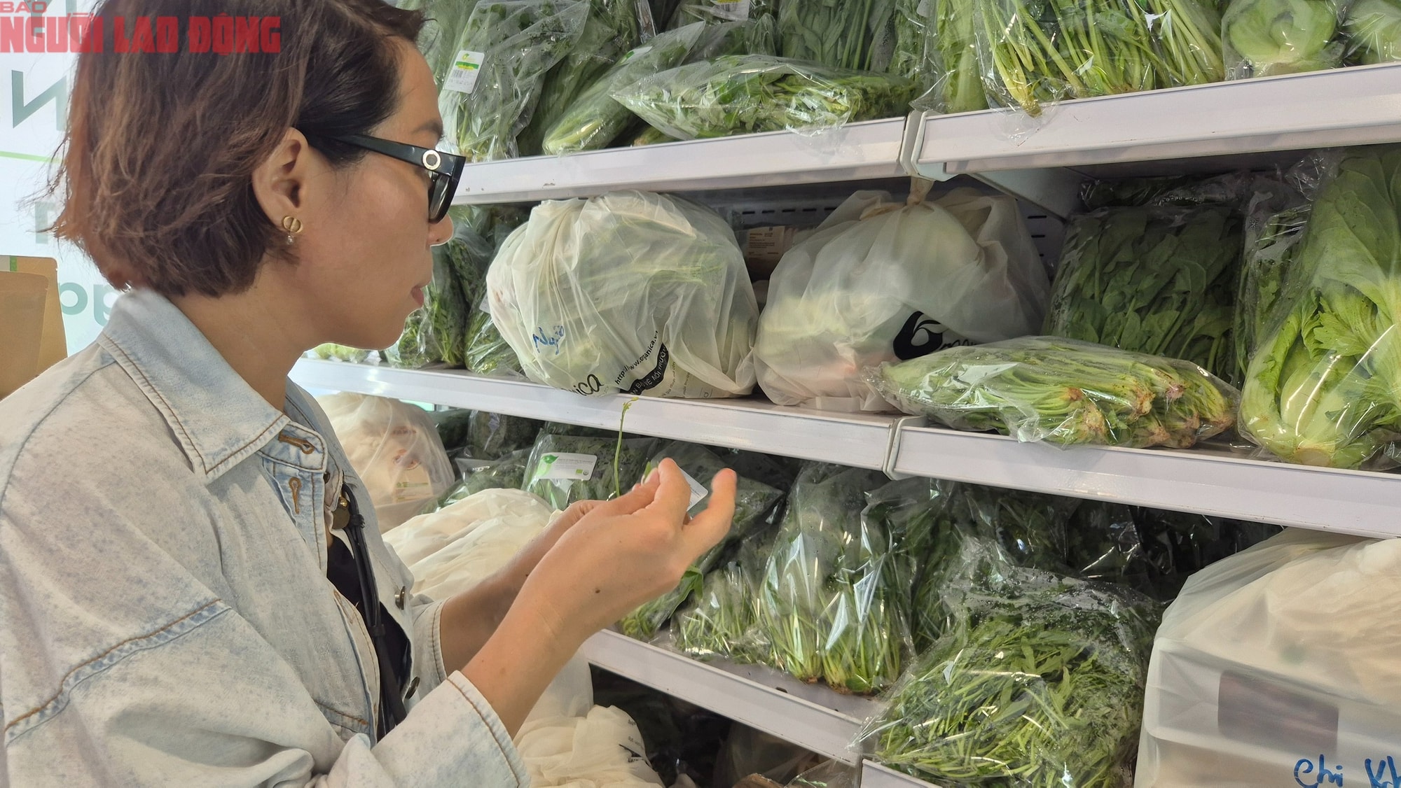 Rau sâm biển: Lọai rau trồng trên cát giá 350 . 000 Đồng / kg vẫn được xem là rẻ - Ảnh 5.