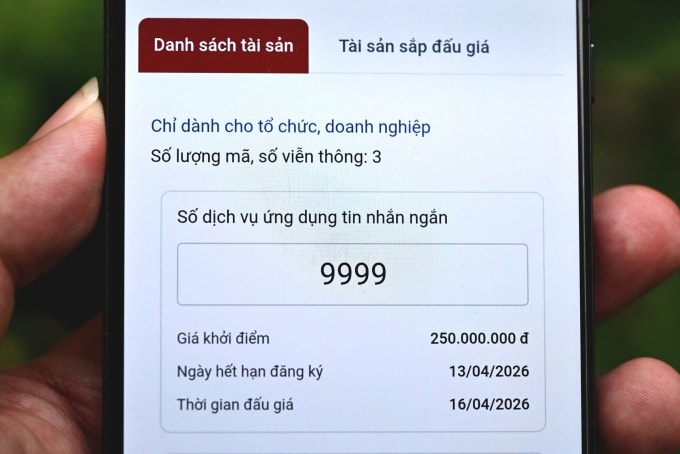 Số dịch vụ ứng dụng tin nhắn ngắn 9999 sẽ được đem ra đấu giá trực tuyến ngày 16/4. Ảnh: Trọng Đạt