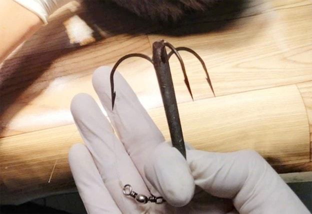 Thiếu niên bị lưỡi câu 3 tiêu cắm vào đỉnh đầu - Ảnh 2.