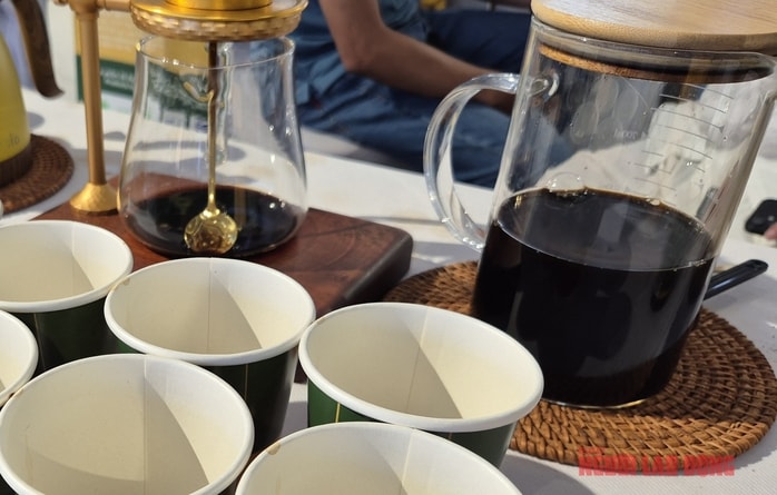 Giá cà phê hôm nay 13 - 4 và dự báo thị trường năm 2026 - Ảnh 2.