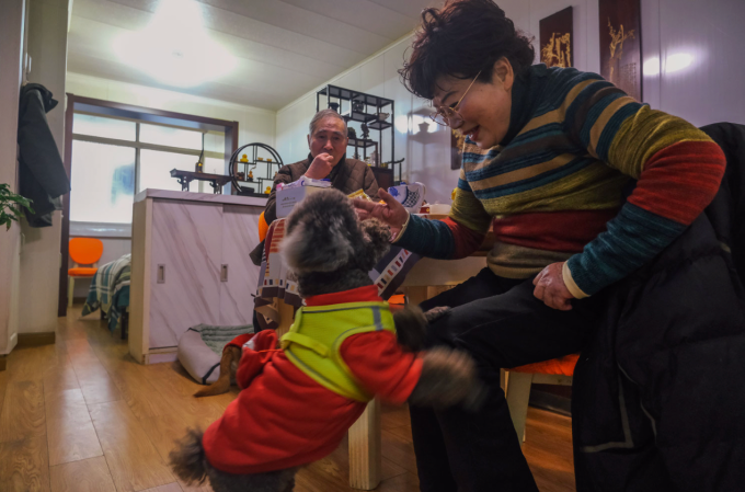 Bao Yi đùa nghịch với chú chó trong căn hộ Thượng Hải, tháng 3/2026. Ảnh: Sixth Tone