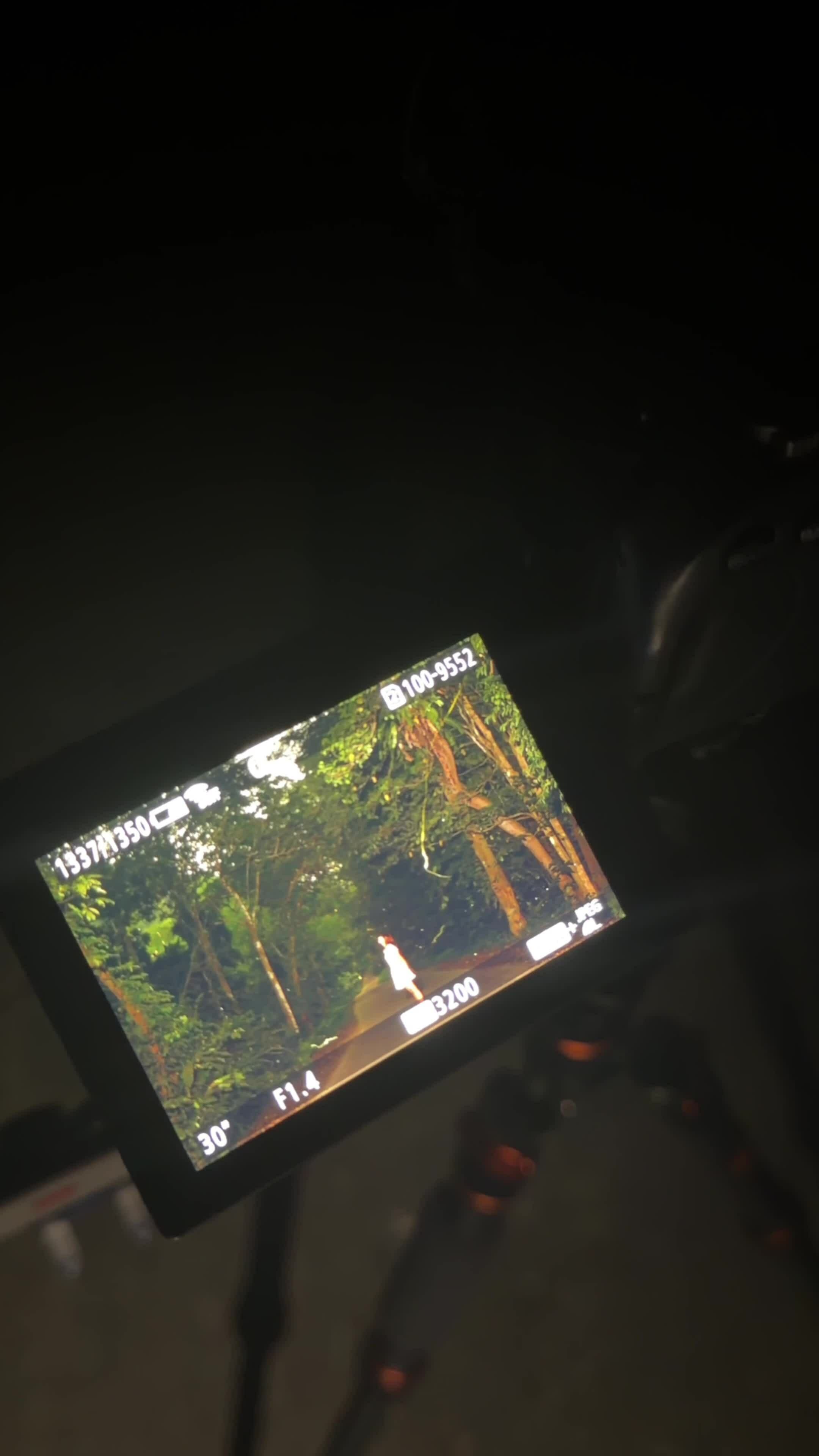 săn đom đóm Cúc Phương