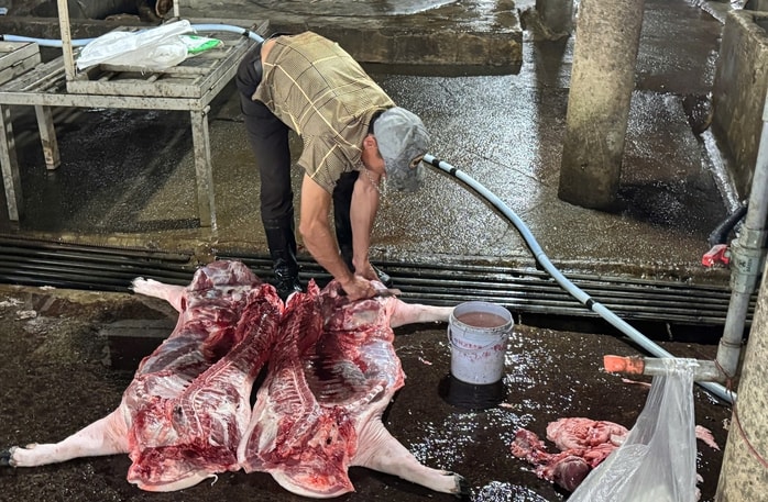 Quảng Trị phạt lò mổ gần 250 triệu đồng vì xả thải vượt chuẩn nghiêm trọng - Ảnh 1. Quảng Trị phạt lò mổ gần 250 triệu đồng vì xả thải vượt chuẩn nghiêm trọng - Ảnh 1.