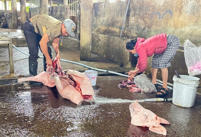 Quảng Trị phạt lò mổ gần 250 triệu đồng vì xả thải vượt chuẩn nghiêm trọng - Ảnh 2. Quảng Trị phạt lò mổ gần 250 triệu đồng vì xả thải vượt chuẩn nghiêm trọng - Ảnh 2.