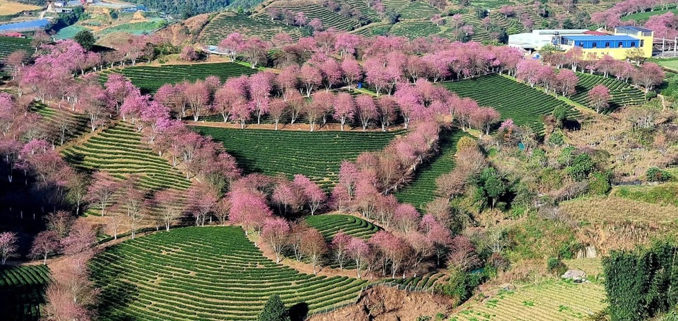 Cô gái chi 200 triệu đồng tự lái ô tô xuyên Việt để... sống chậm lại - 1