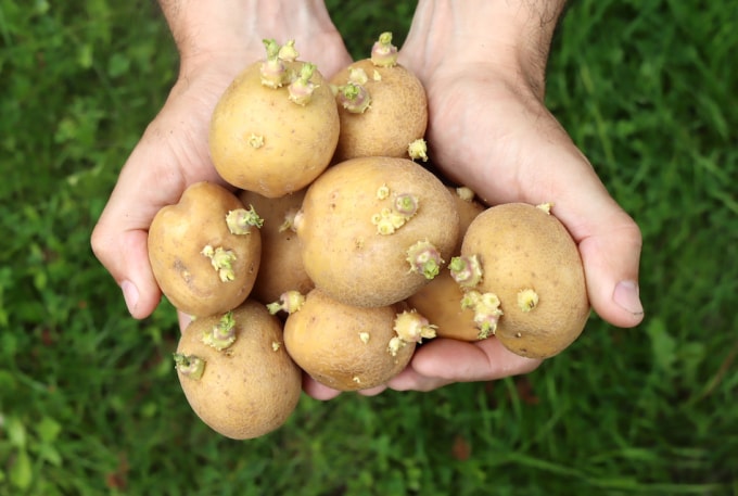 Ảnh minh họa: Praticalselfreliance