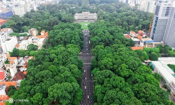 Công viên 30/4 nhiều cây xanh, ở giữa là đường Lê Duẩn, toà nhà phía xa là Dinh Độc Lập. Ảnh: Quỳnh Trần