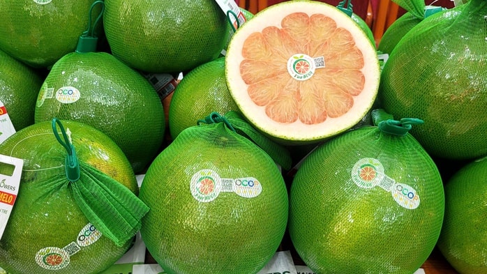 Xuất khẩu bưởi và chanh Việt Nam sang Trung Quốc năm 2026: Cơ hội mới cho nông sản - Ảnh 1. Xuất khẩu bưởi và chanh Việt Nam sang Trung Quốc năm 2026: Cơ hội mới cho nông sản - Ảnh 1.