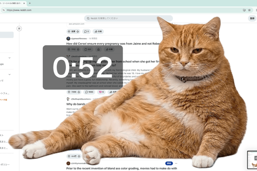 Dáng nằm chễm chệ của chú mèo cam trên màn hình buộc bạn phải nghỉ ngơi. (Ảnh: Mèo Gác Cổng)