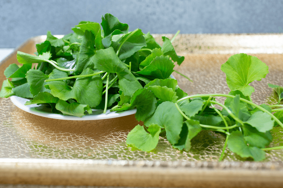 Rau má có lợi cho sức khỏe, nhưng không phải thuốc chữa bệnh