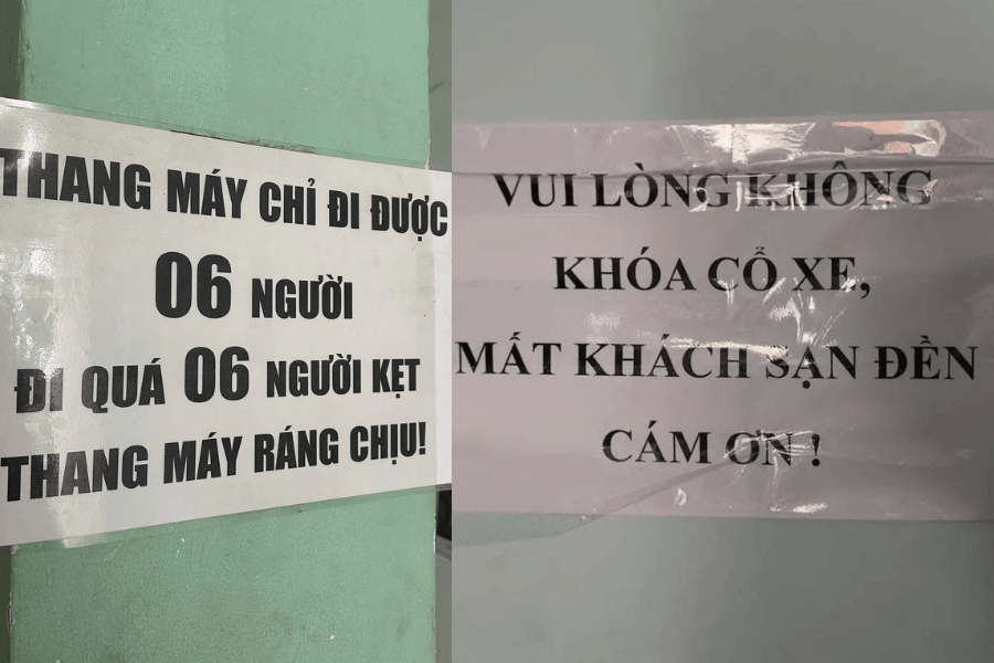 Nguồn ảnh: Tổng hợp từ Threads