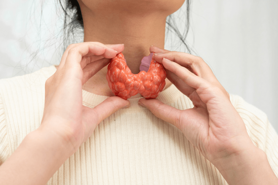 tuyến giáp có vai trò điều chỉnh tốc độ trao đổi chất