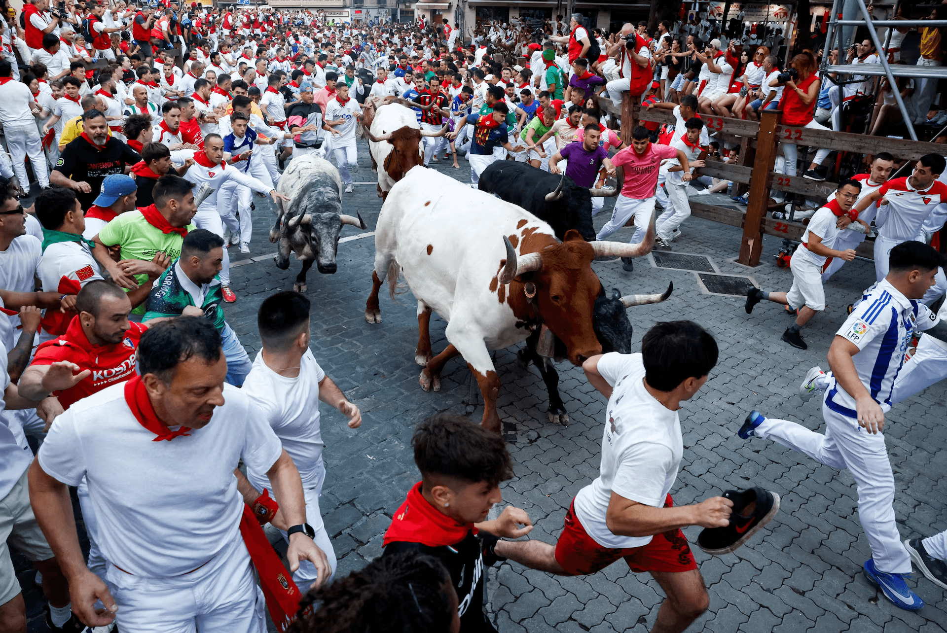 lễ hội chạy bò tót San Fermin