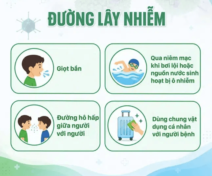 Những con đường lây nhiễm phụ huynh cần lưu ý để phòng bệnh do vi rút Adeno. (Ảnh: Bệnh viện Nhi Trung ương)