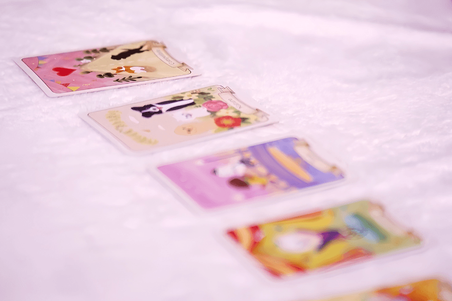 xu hướng tarot cho thú cưng