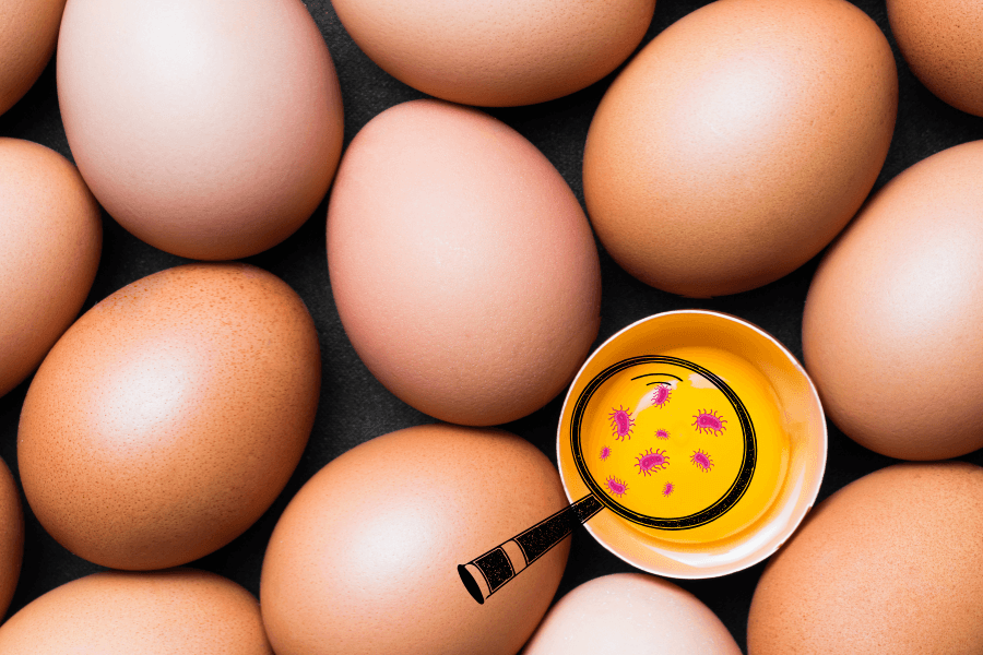 Vi khuẩn Salmonella có thể xâm nhập vào trứng trước khi lớp vỏ hình thành