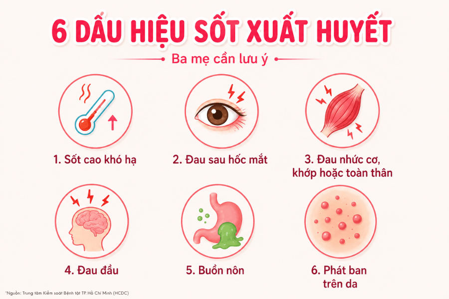 6 dấu hiệu nhận biết sốt xuất huyết ở trẻ em ba mẹ cần lưu ý.