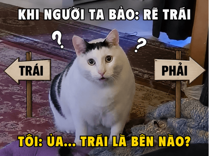 mot-so-nguoi-co-the-can-them-vai-giay-de-xac-dinh-phuong-huong-nhat-la-khi-dang-voi-mat-tap-trung.png