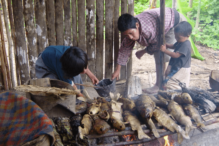 Các nhà nghiên cứu đã tìm thấy 848 loài được tìm thấy ở cả người Tsimane ở Bolivia và người Hadza ở Tanzania nhưng lại hiếm hoặc không có ở các quốc gia công nghiệp hóa.Tín dụng