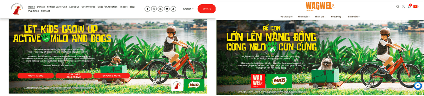 hợp tác với hai tổ chức cứu trợ động vật Laws for Paws Vietnam và WagWel Rescue