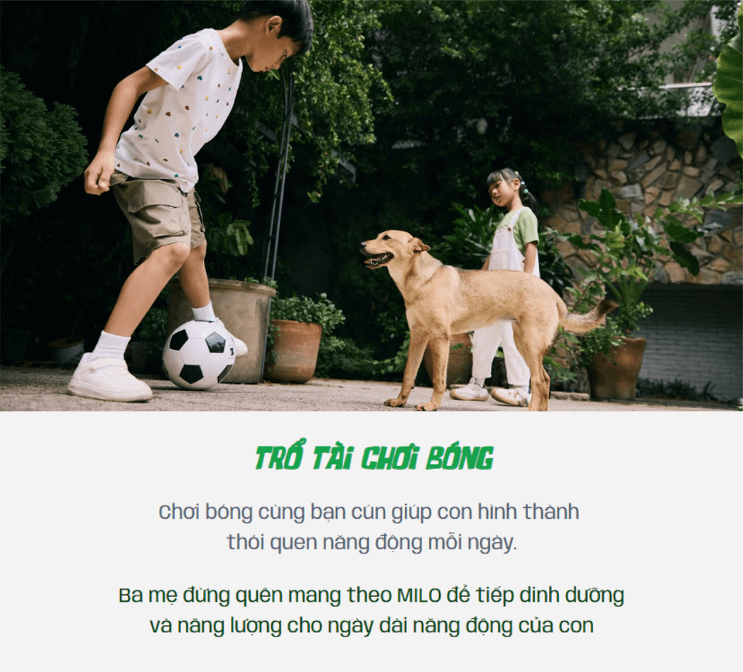 trổ tài chơi bóng