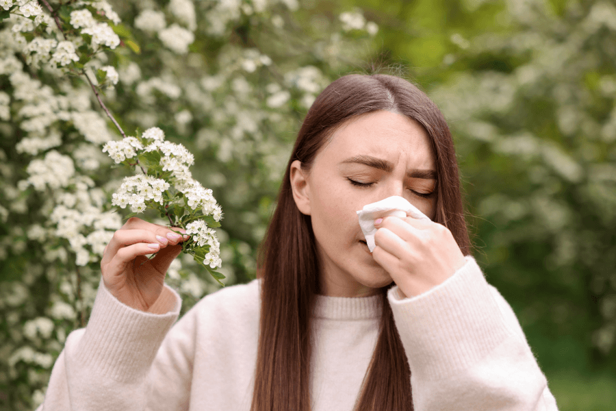 dị ứng phấn hoa xảy ra khi hệ miễn dịch nhận nhầm hạt phấn là tác nhân có hại và khởi động phản ứng dị ứng