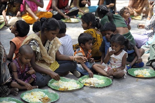 Thế giới đứng trước thách thức lớn về an ninh lương thực