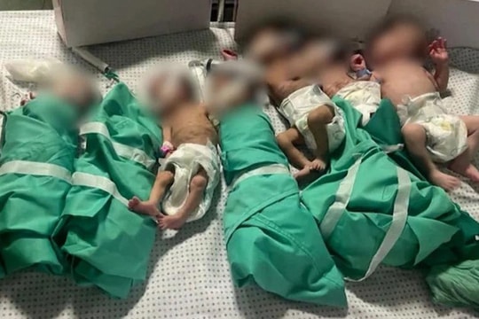 Trẻ sinh non ở Gaza được bọc trong giấy bạc để giữ ấm
