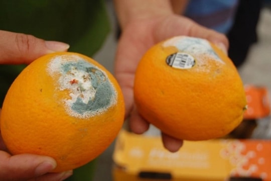 Tủ lạnh, thớt gỗ và 3 món ăn có thể chứa độc tố nấm mốc gây ung thư