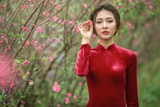 Thành công hay thất bại: chỉ là chuyện năm cũ thôi