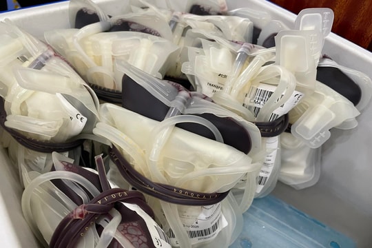 Kho 'thuốc đỏ' thiếu 10.000 đơn vị máu dự trữ cho điều trị dịp Tết Giáp Thìn