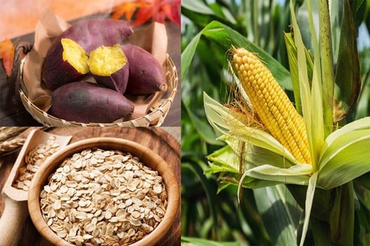 Ăn tinh bột nhưng lại có thể đào thải mỡ nội tạng