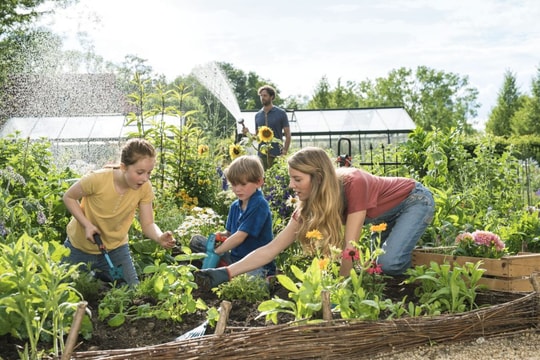 Chuyên gia sống thọ khuyên mọi người làm vườn thay vì tập gym