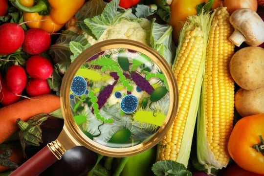 Nam Bộ nắng nóng, cẩn trọng ngộ độc thực phẩm