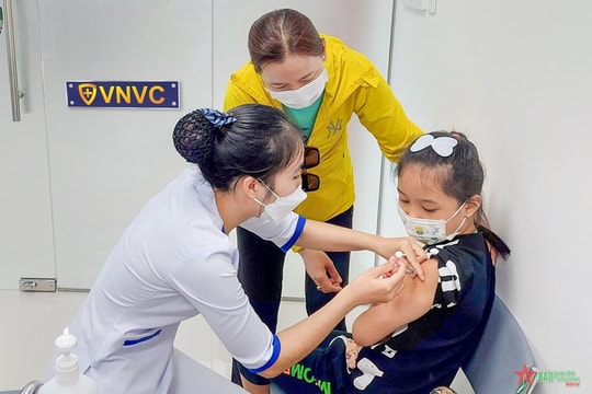 Phân bổ nguồn lực giữa vaccine và phương pháp kiểm soát muỗi: Bài học từ dịch sốt xuất huyết