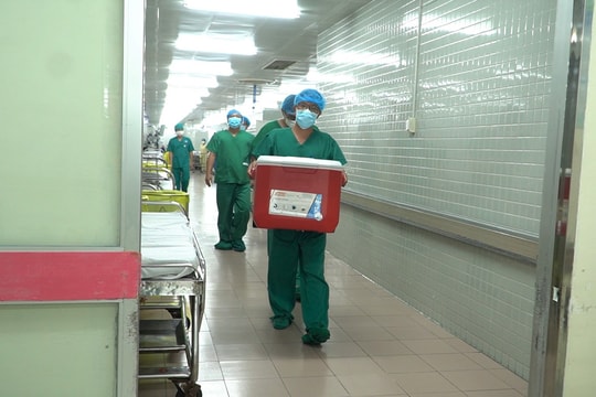 Ghép tạng ở Việt Nam: Tái sinh từ nguồn hiến tạng