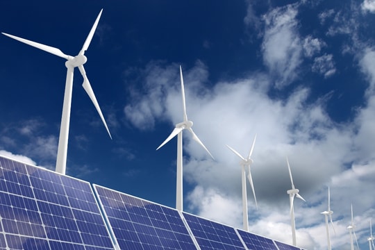 5 cách để sống 'xanh' hơn trong năm 2024