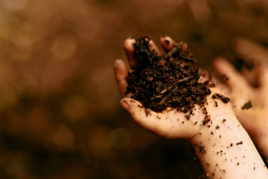 Một chút bụi bẩn đôi khi lại tốt cho bạn