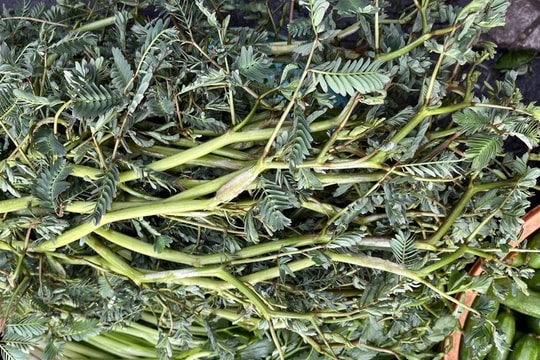 Canh rau rút, khoai sọ - món ăn giải nhiệt nhiều lợi ích trong những ngày nắng nóng