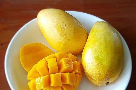 Trái xoài: Lợi ích sức khỏe và công dụng chữa bệnh