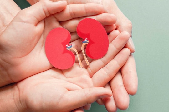 Các bệnh về thận và những thói quen không tốt gây ra chúng