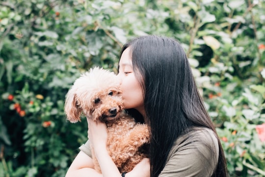 Nụ hôn và lợi ích - Kỳ 1: Vì sao nụ hôn lại tốt cho bạn?