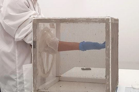 Thành tựu mới trong "cuộc chiến" phòng, chống bệnh sốt xuất huyết