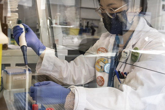 WHO thúc đẩy nghiên cứu ứng phó đại dịch X