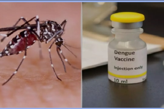 Vắc xin phòng sốt xuất huyết được Bộ Y tế cấp phép có hiệu quả như thế nào?