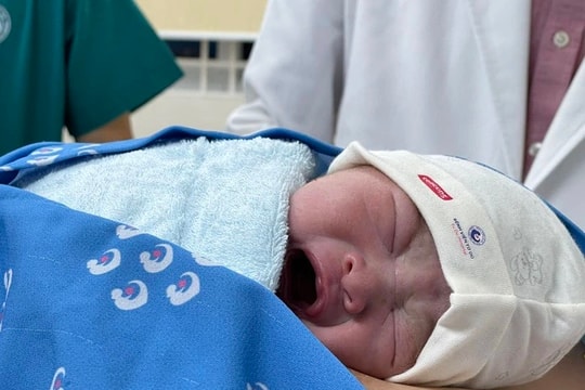 Mức sinh tại TP.HCM thấp nhất cả nước: Báo động về xu hướng giảm sinh