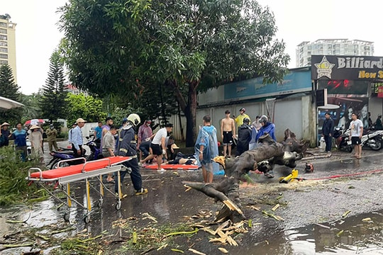 Sự tàn phá nặng nề của bão số 3 qua những con số