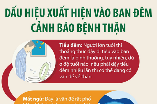 Inforgraphic: Những triệu chứng vào ban đêm cảnh báo bệnh thận mạn tính