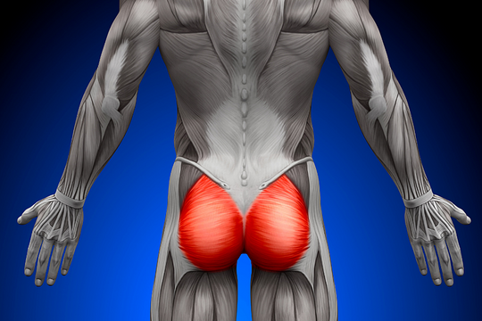 Hội chứng 'mông chết' ở dân văn phòng