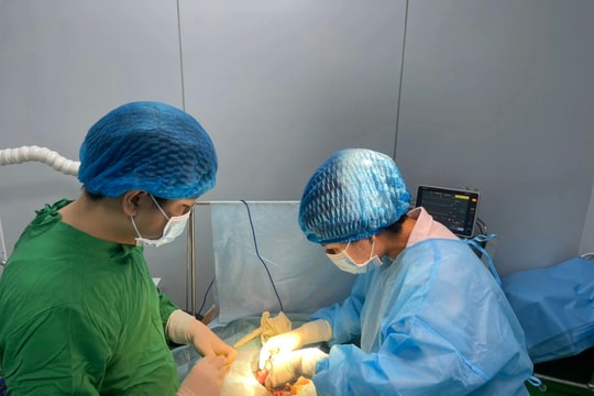 Nam thanh niên tử vong trong quá trình cắt bao quy đầu, nghi ngờ sốc phản vệ